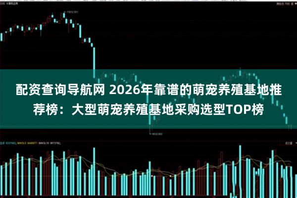 配资查询导航网 2026年靠谱的萌宠养殖基地推荐榜：大型萌宠养殖基地采购选型TOP榜