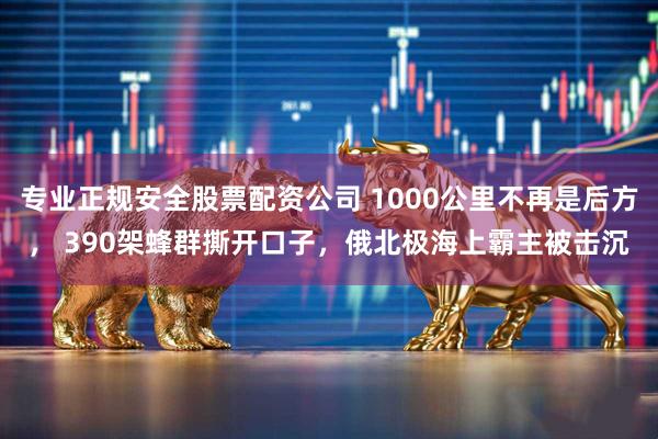 专业正规安全股票配资公司 1000公里不再是后方， 390架蜂群撕开口子，俄北极海上霸主被击沉